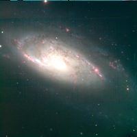 Seyfert Galaxy NGC 4258